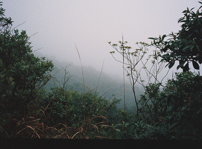 R1-00944-0012_01.jpg