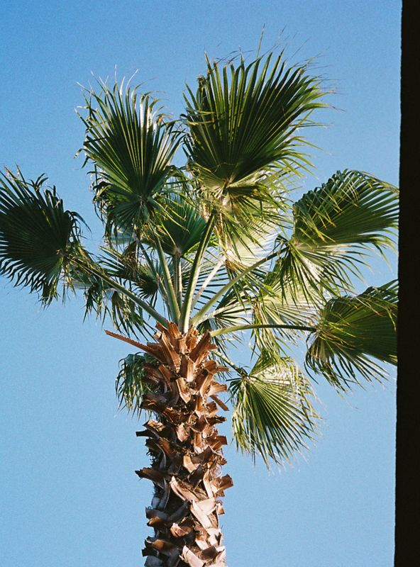R1-00945-0024_01.jpg