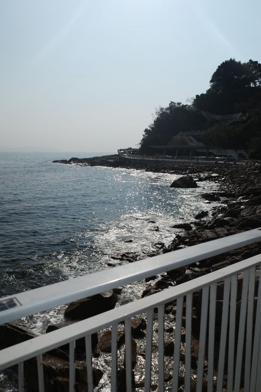 R0003860.JPG