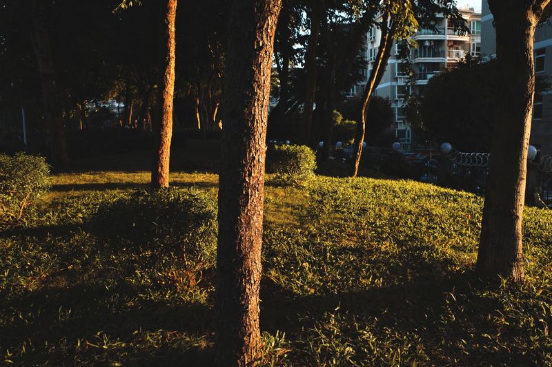 R0003889.jpg