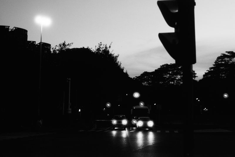 8805.jpg