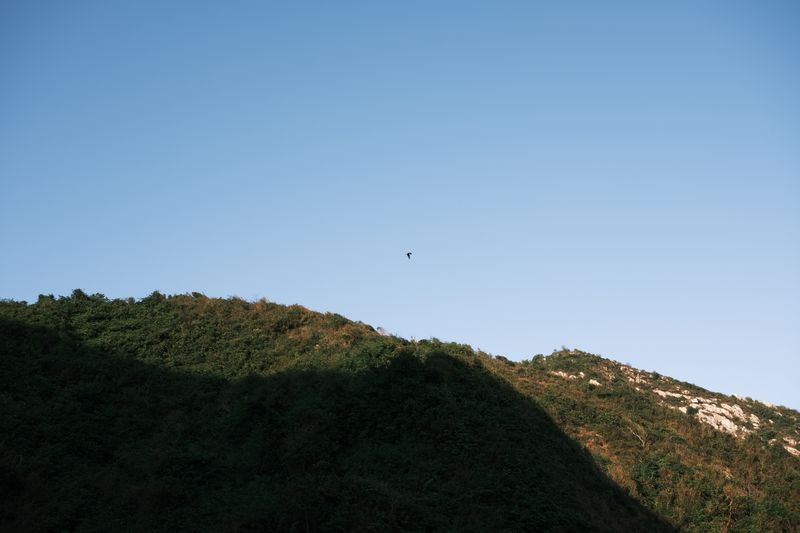 DSCF4272.jpg